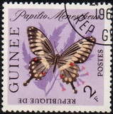 [Butterflies, type BO]