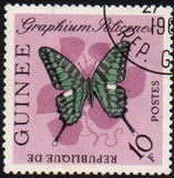 [Butterflies, type BM1]