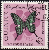 [Butterflies, type BM1]