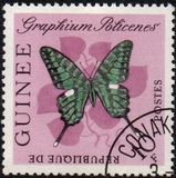 [Butterflies, type BM1]