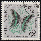 [Butterflies, type BN1]