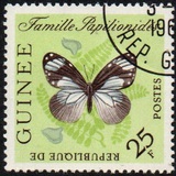 [Butterflies, Tipi BK2]