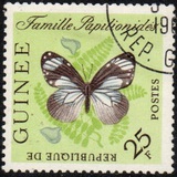 [Butterflies, Tipi BK2]