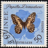[Butterflies, Tipi BL3]