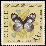 [Butterflies, Tipi BK3]