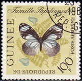 [Butterflies, Tipi BK3]