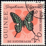 [Butterflies, Tipi BM2]
