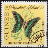 [Butterflies, Tipi BN2]
