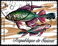 [Fish, tip KX]