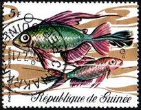 [Fish, tip KX]