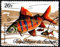 [Fish, tip LA]