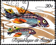 [Fish, tip LC]