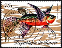 [Fish, tip LG]