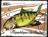 [Fish, tip LH]
