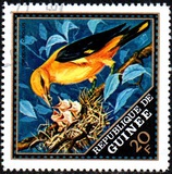 [Wild Birds, 类型 LK]