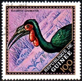 [Wild Birds, 类型 LO]