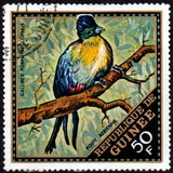 [Airmail - Wild Birds, Вид LP]