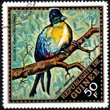 [Airmail - Wild Birds, Вид LP]