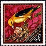 [Airmail - Wild Birds, Вид LQ]