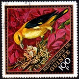 [Airmail - Wild Birds, Вид LQ]