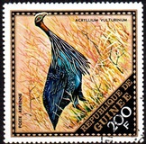 [Airmail - Wild Birds, Вид LR]