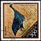 [Airmail - Wild Birds, Вид LR]