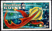 [Imaginary Space Creatures, type MA]