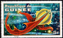 [Imaginary Space Creatures, type MA]