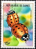 [Guinean Insects, Tüüp NQ]