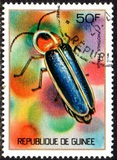 [Guinean Insects, Tüüp NT]
