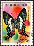 [Guinean Insects, Tüüp NU]