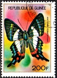 [Guinean Insects, Tüüp NU]
