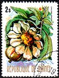 [Flowers of Guinea, տեսակ OS]