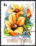 [Flowers of Guinea, տեսակ OU]