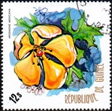 [Flowers of Guinea, type OY]