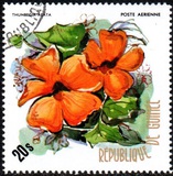[Flowers of Guinea, type OZ]