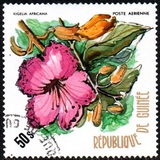 [Flowers of Guinea, type PB]