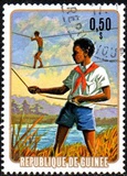 [National Scouting Movement, type PI]