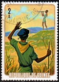 [National Scouting Movement, type PJ]
