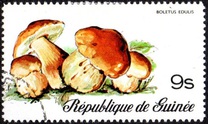 [Fungi, Вид RJ]