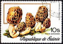[Airmail - Fungi, typ RM]