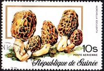 [Airmail - Fungi, typ RM]