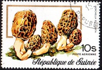 [Airmail - Fungi, typ RM]