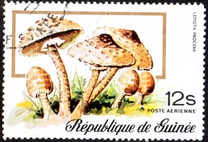 [Airmail - Fungi, typ RN]