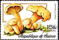 [Airmail - Fungi, typ RO]
