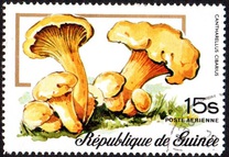 [Airmail - Fungi, typ RO]