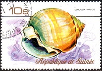 [Sea Shells, Typ RV]