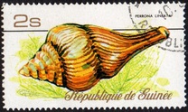 [Sea Shells, Typ RQ]