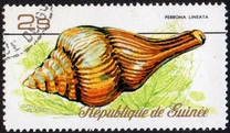 [Sea Shells, Typ RQ]