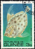 [Fish, tipo UY]
